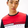 Colorblock Flag Stripe Logo T-Shirt Colorblock Flag Stripe Logo T-Shirt