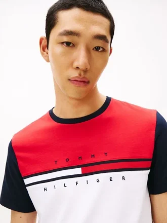 Colorblock Flag Stripe Logo T-Shirt