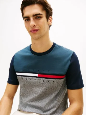 Colorblock Flag Stripe Logo T-Shirt
