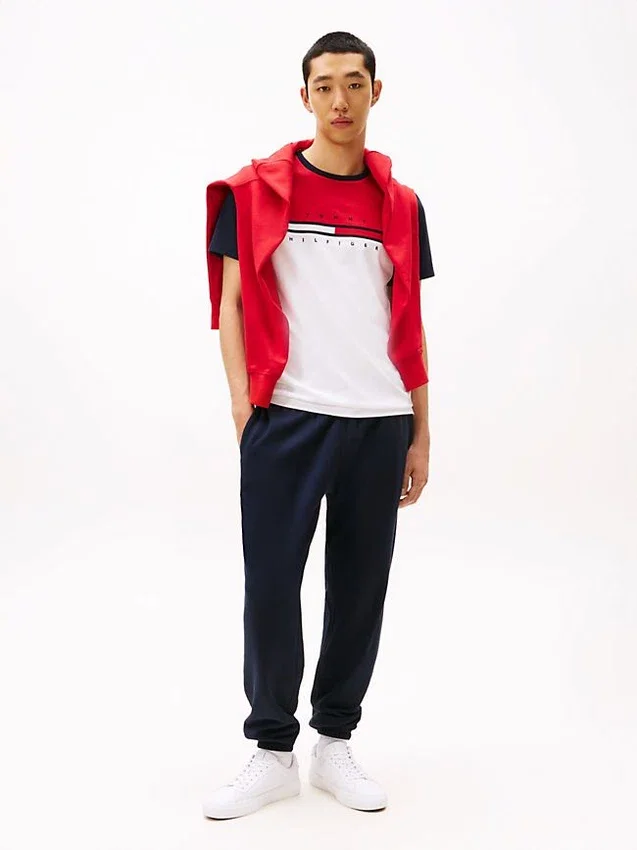 Colorblock Flag Stripe Logo T-Shirt Colorblock Flag Stripe Logo T-Shirt