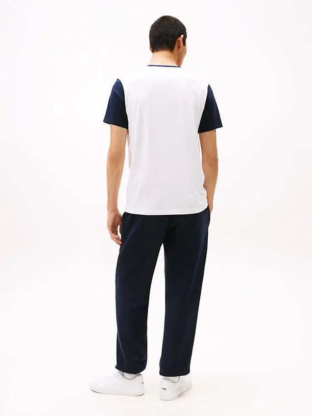 Colorblock Flag Stripe Logo T-Shirt Colorblock Flag Stripe Logo T-Shirt