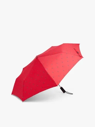 Flaggen-Regenschirm